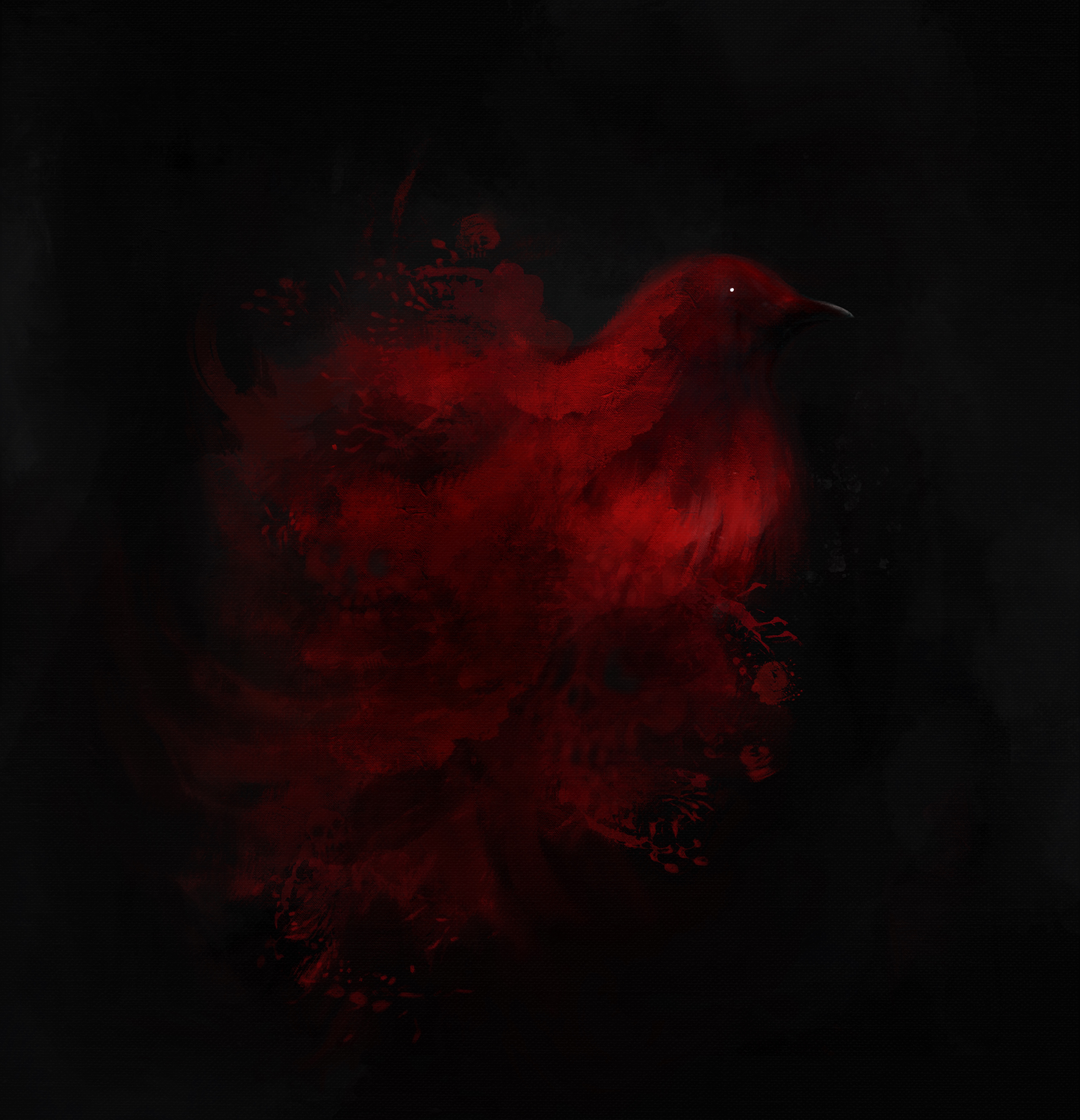 Red bird in the dark 