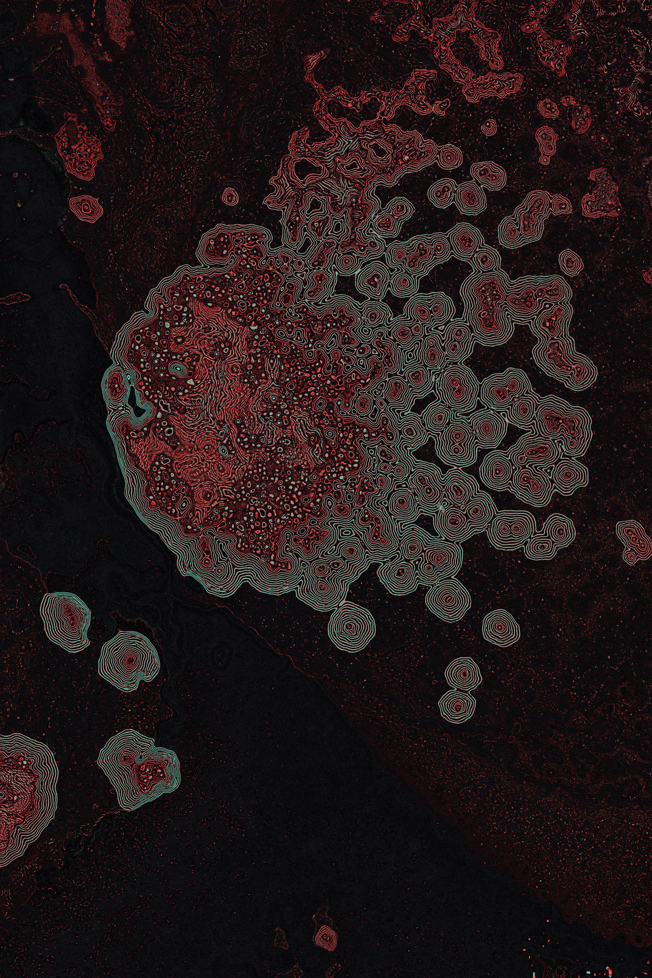 Dactylogram #112