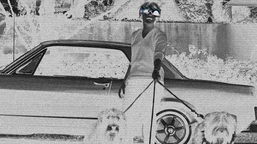 American Dream. Made in Hollywood #67
