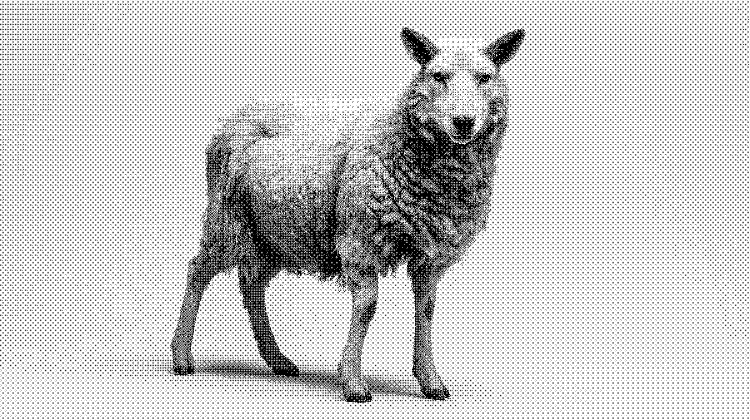Wolves and Sheep #6