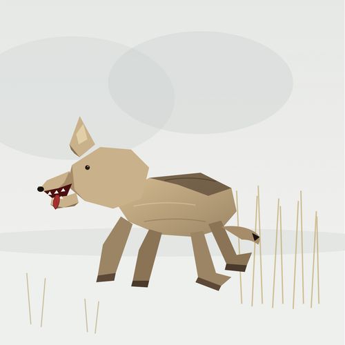 Gray Wolf
