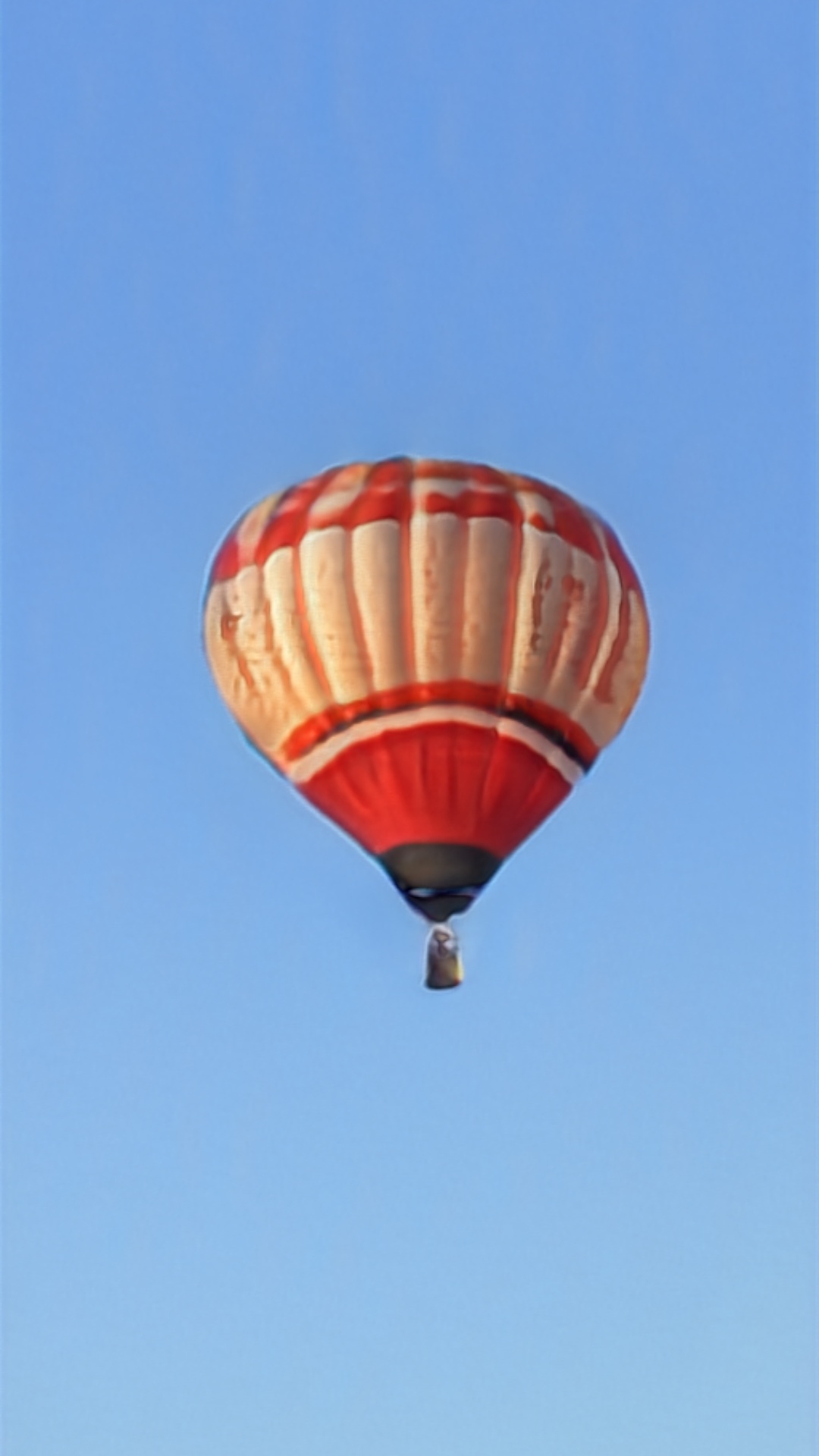 Balloons In The Sky — Bone fragments, grey