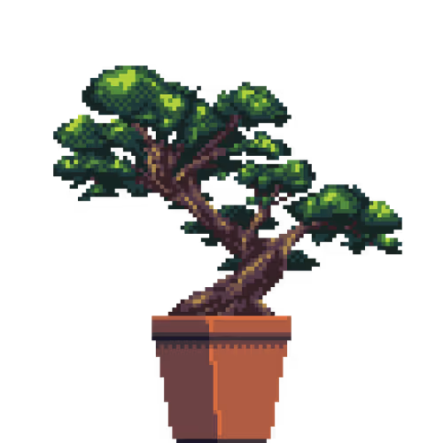 Juniper Bonsai in Square pot