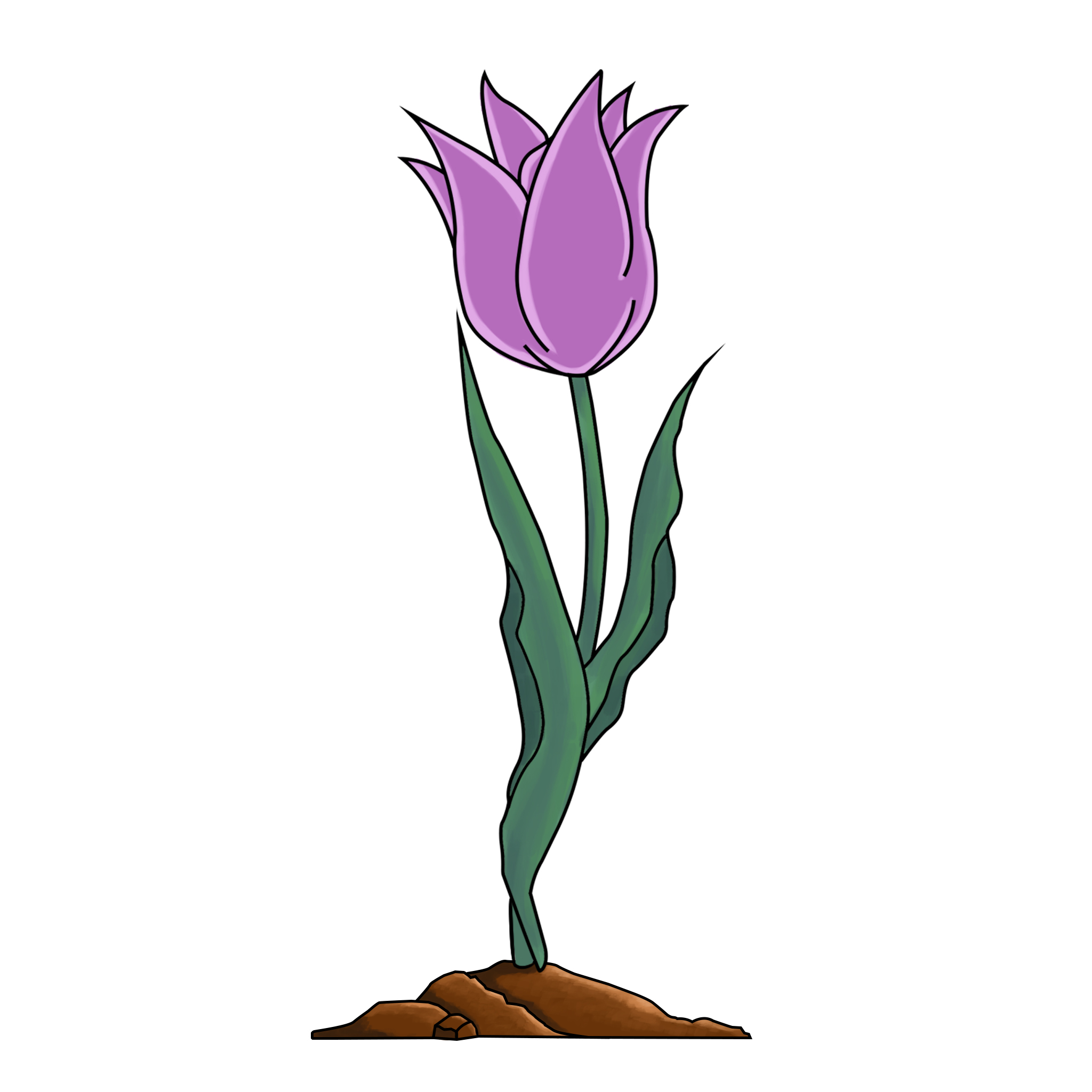 EtherTulip #75