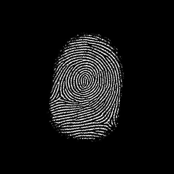 Subject 306