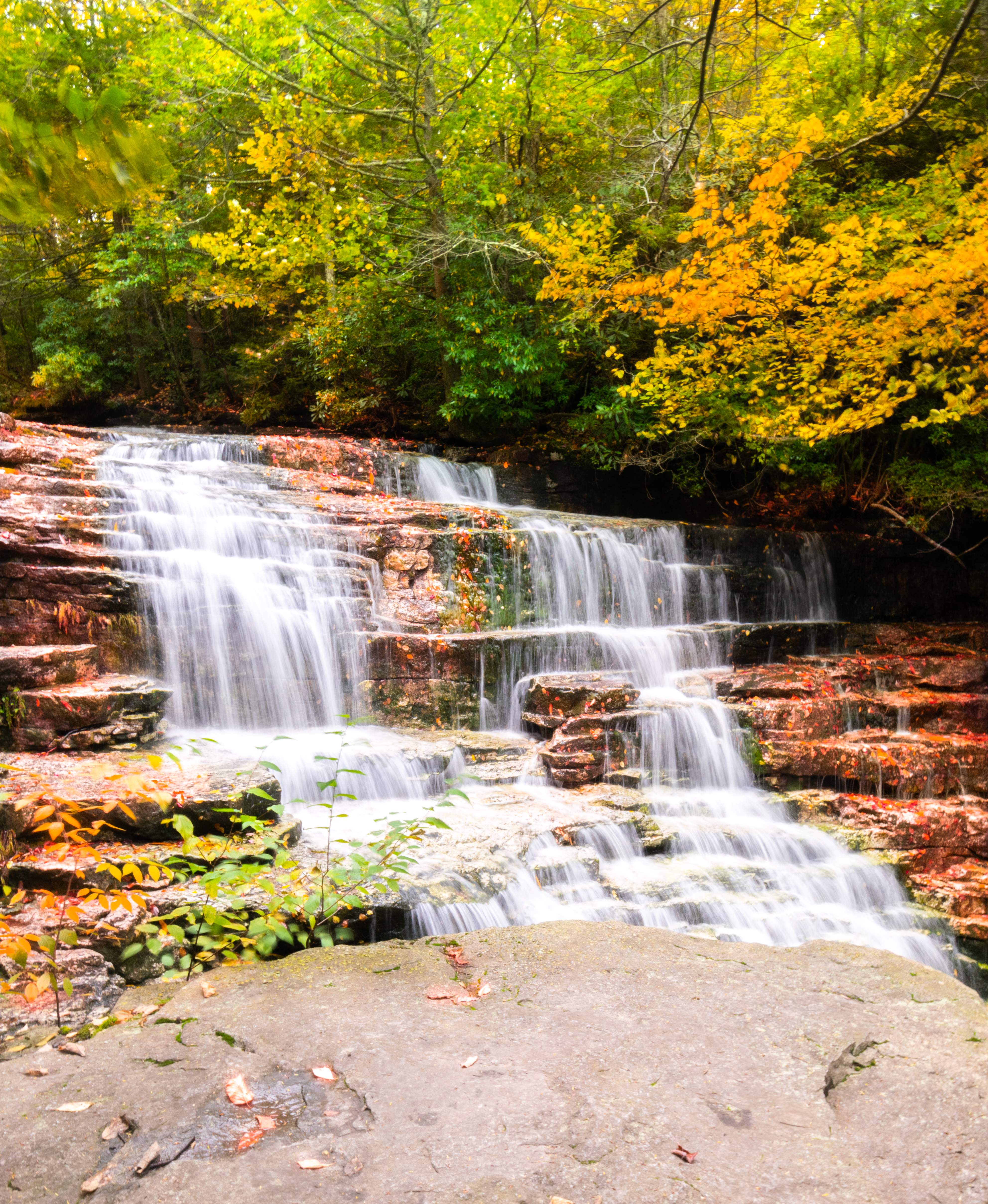 Autumn Falls