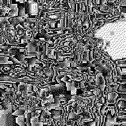 Topology of Loss #6