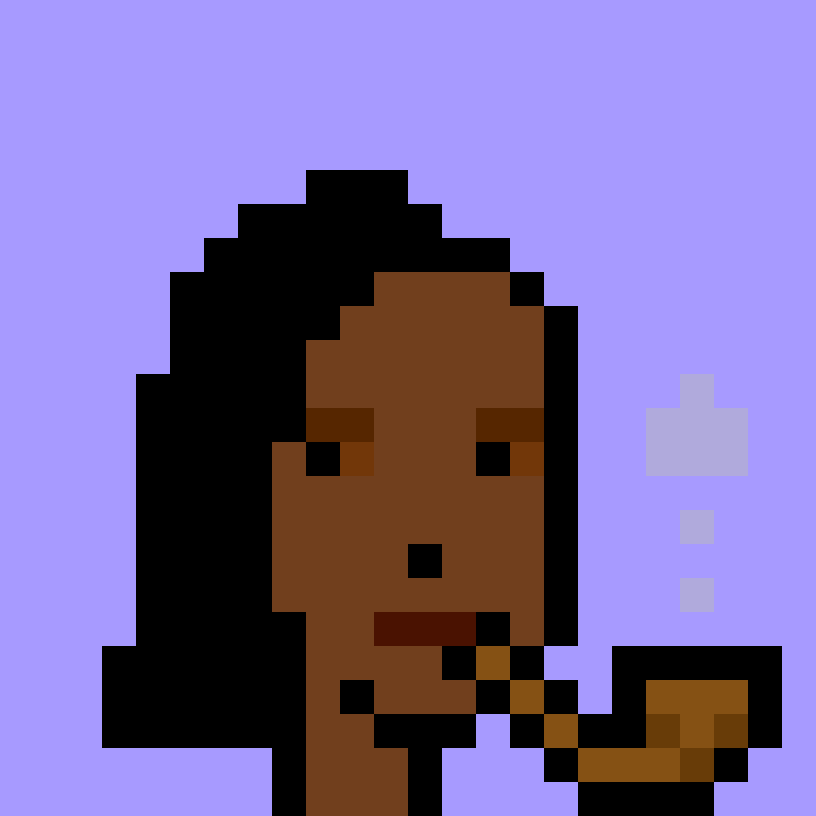 V1 PUNK #3480