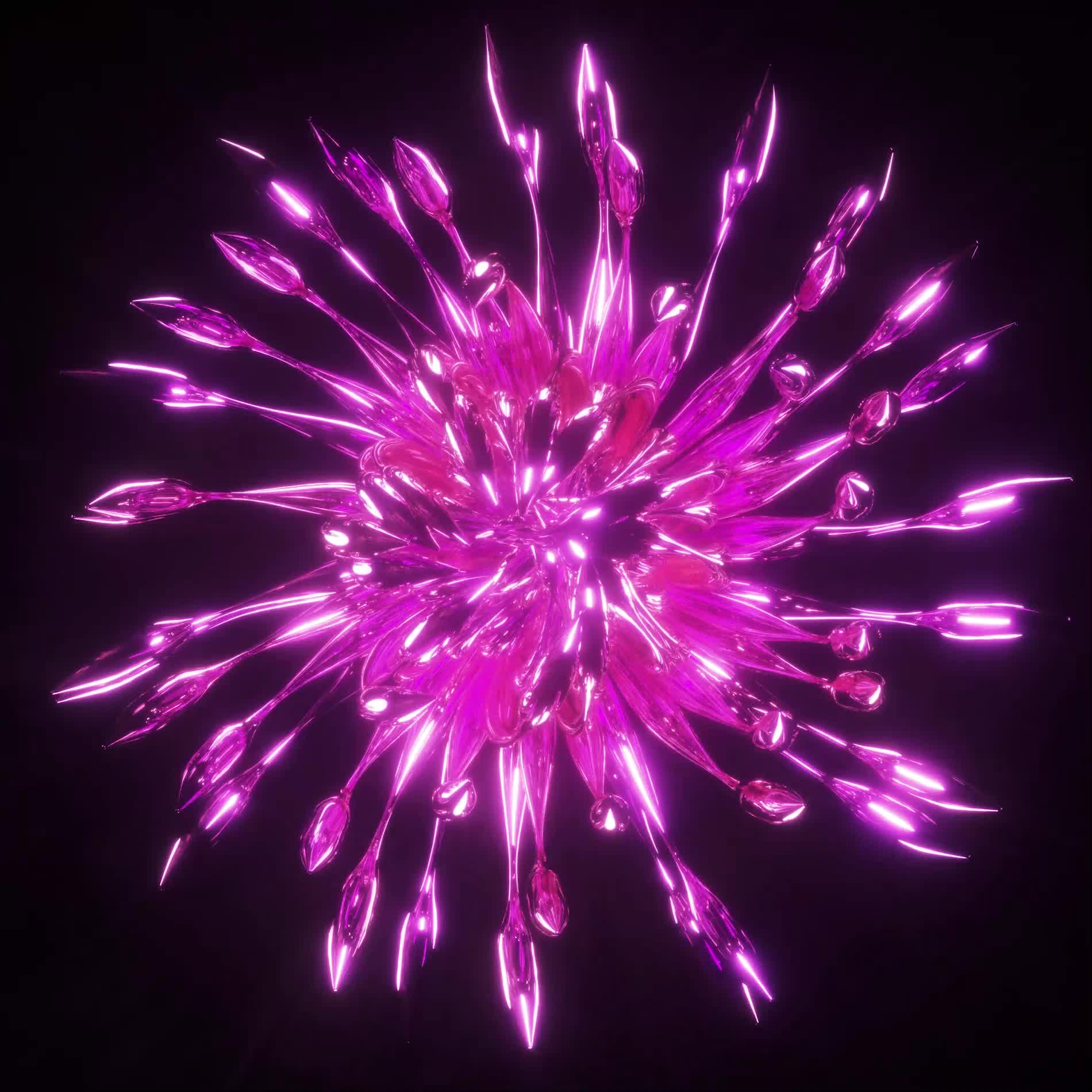 BLOOM #37/44