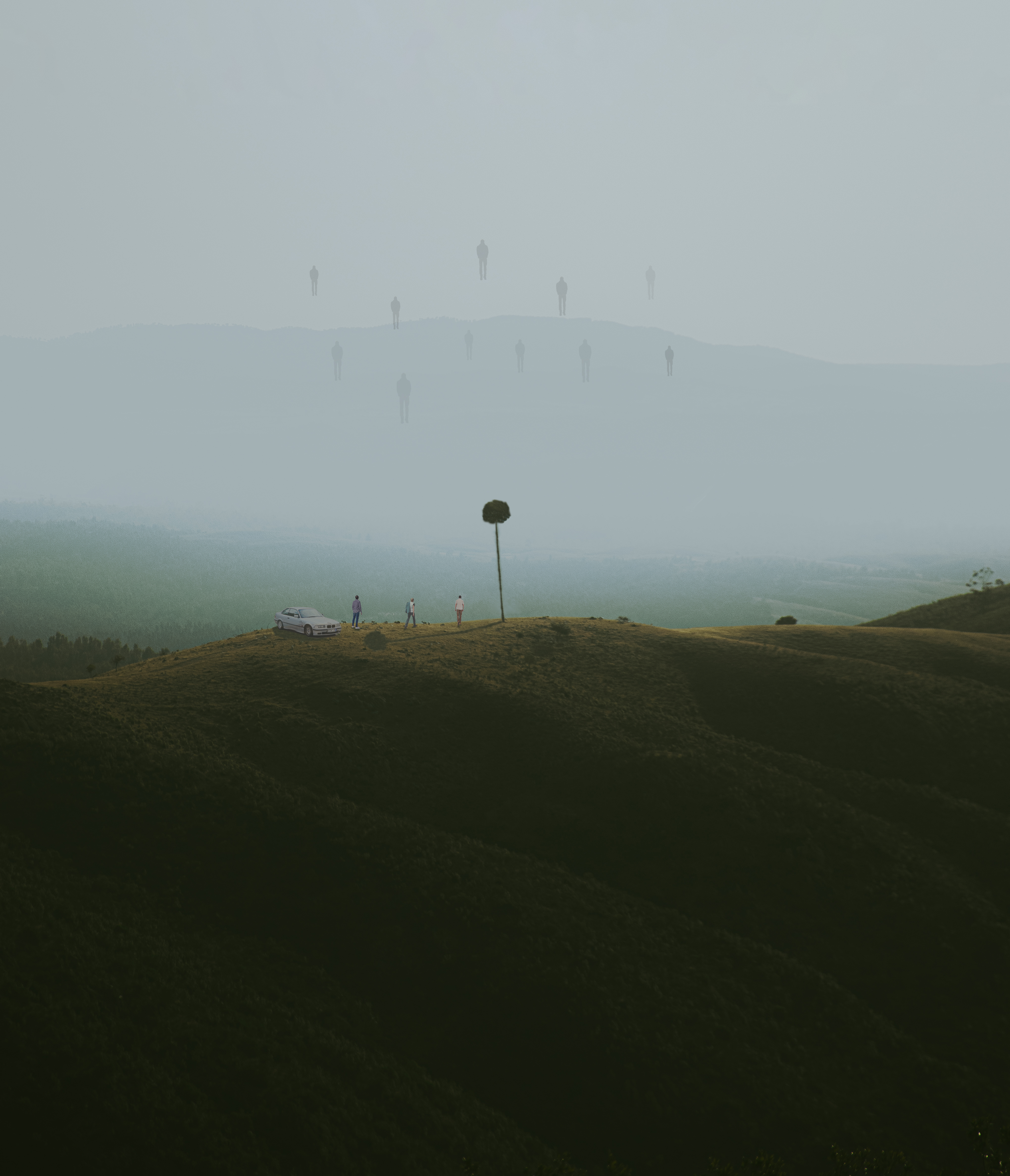 The hill of the tree