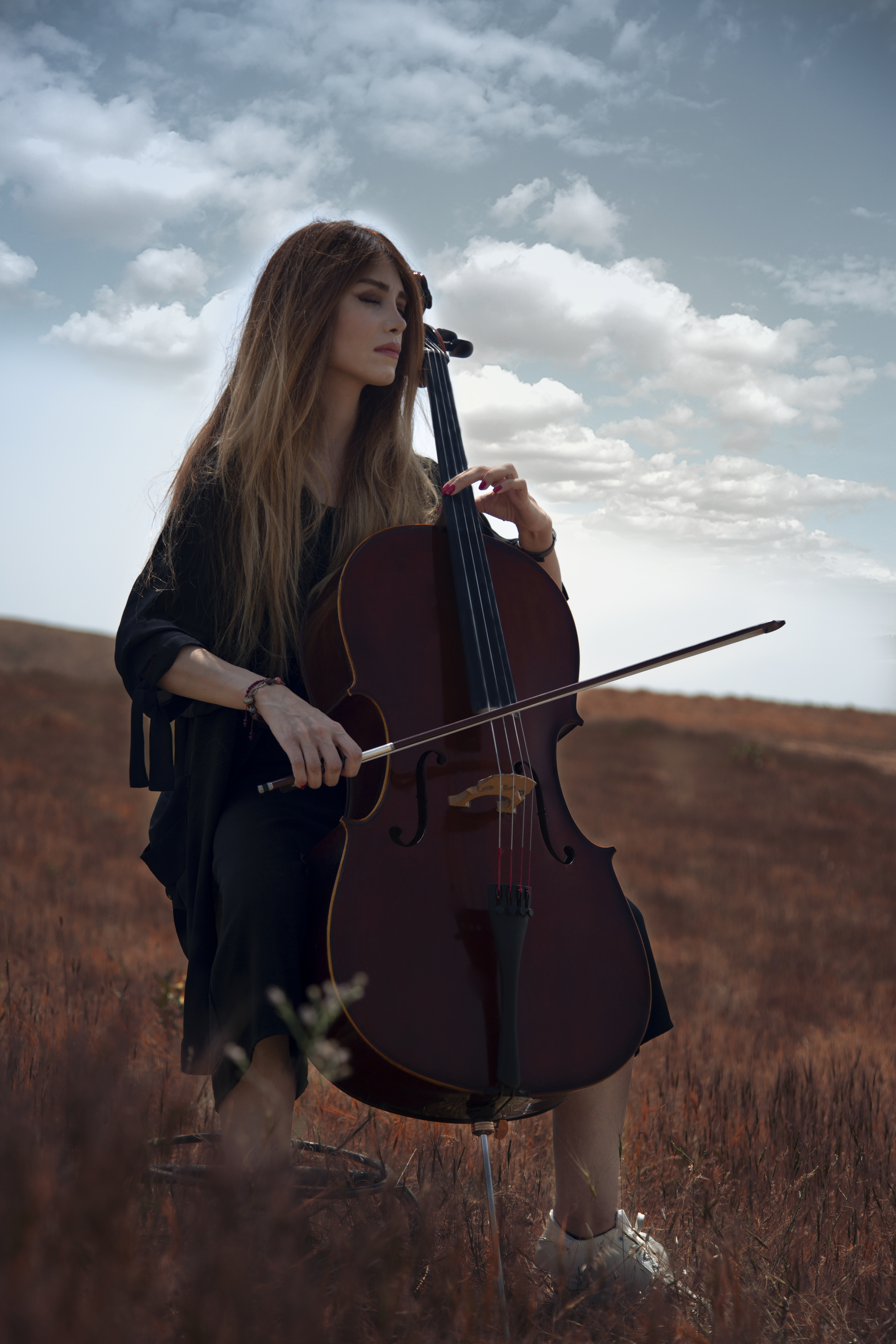 Violinist