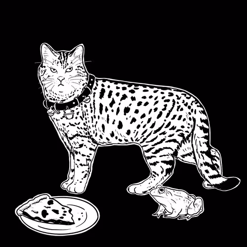 The Sad Cat #5237