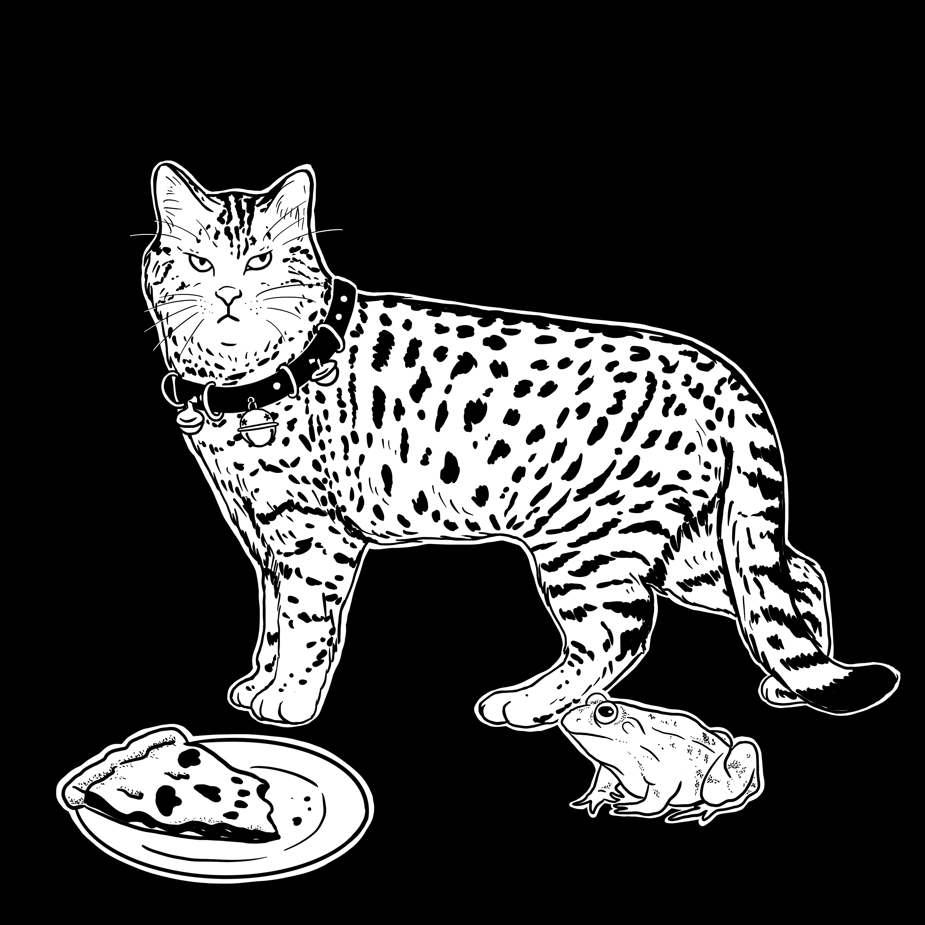 The Sad Cat #5237
