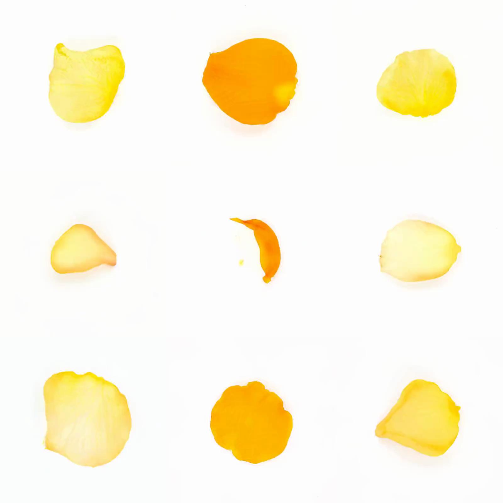 Infinite Petals 3x3#20014