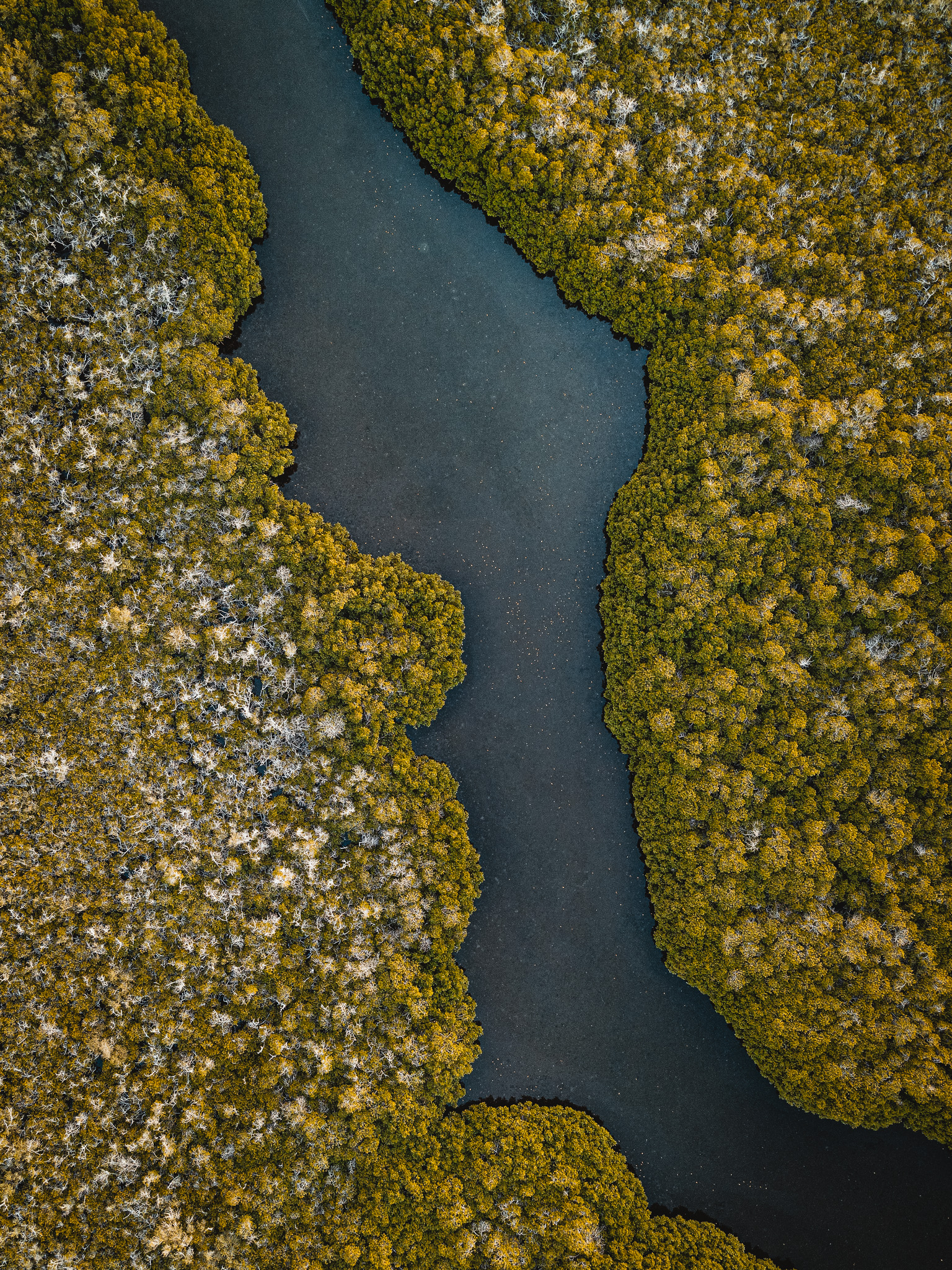 MANGLAR