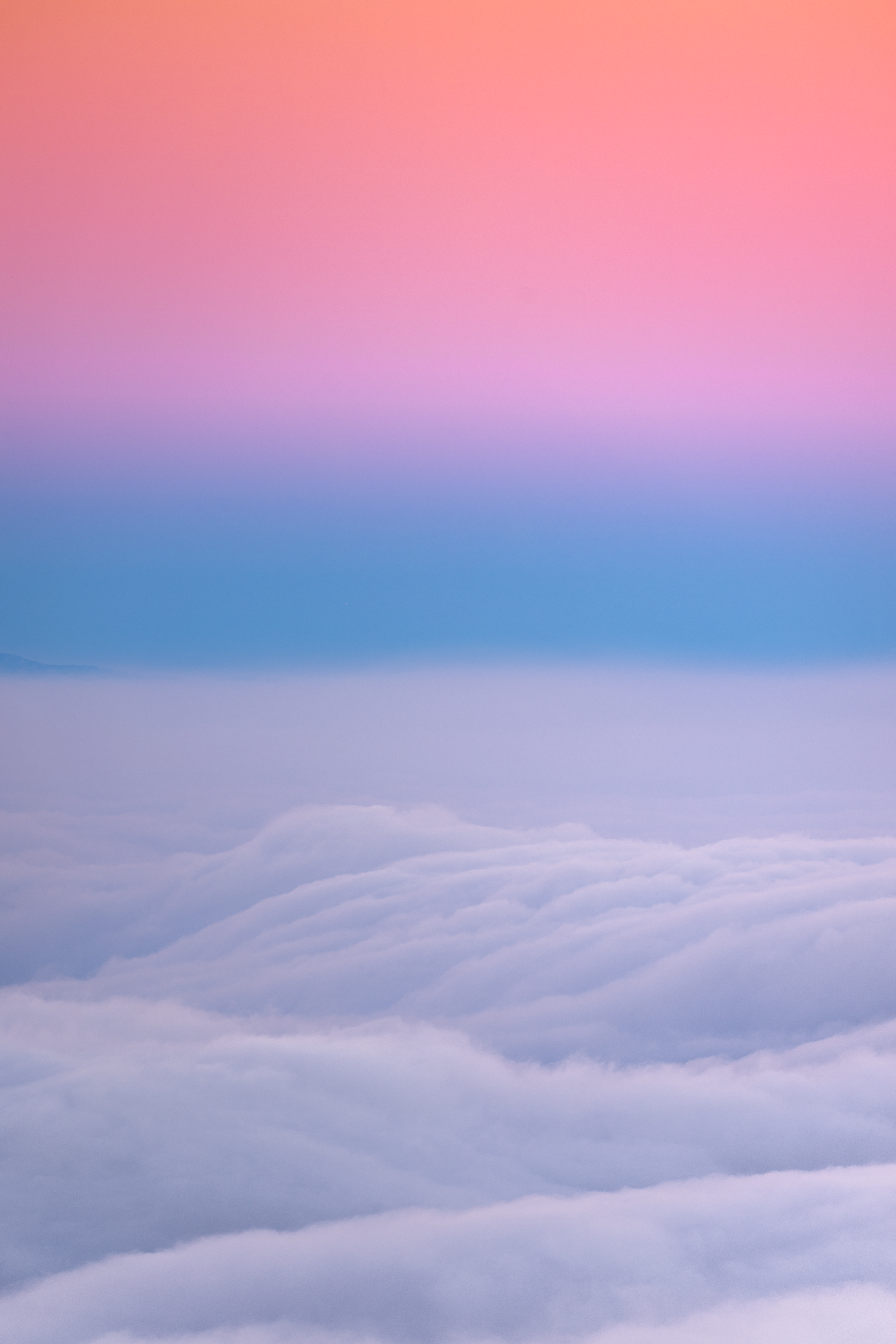 Candy Land