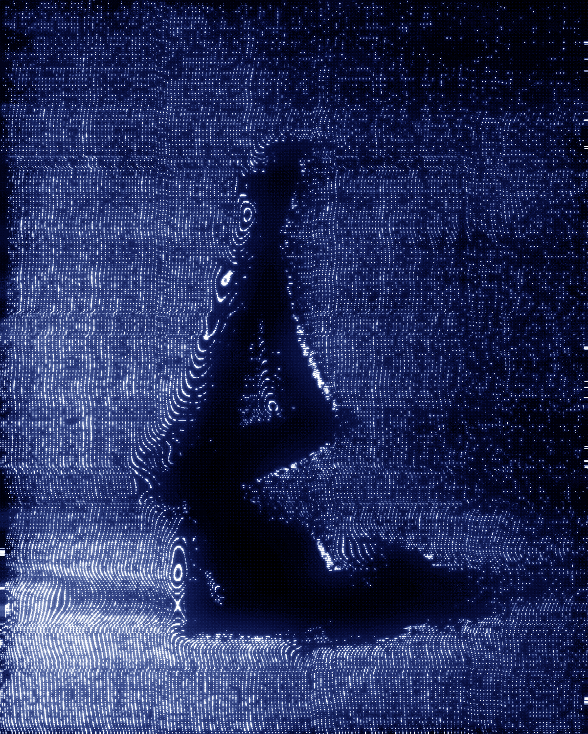 Canvas II