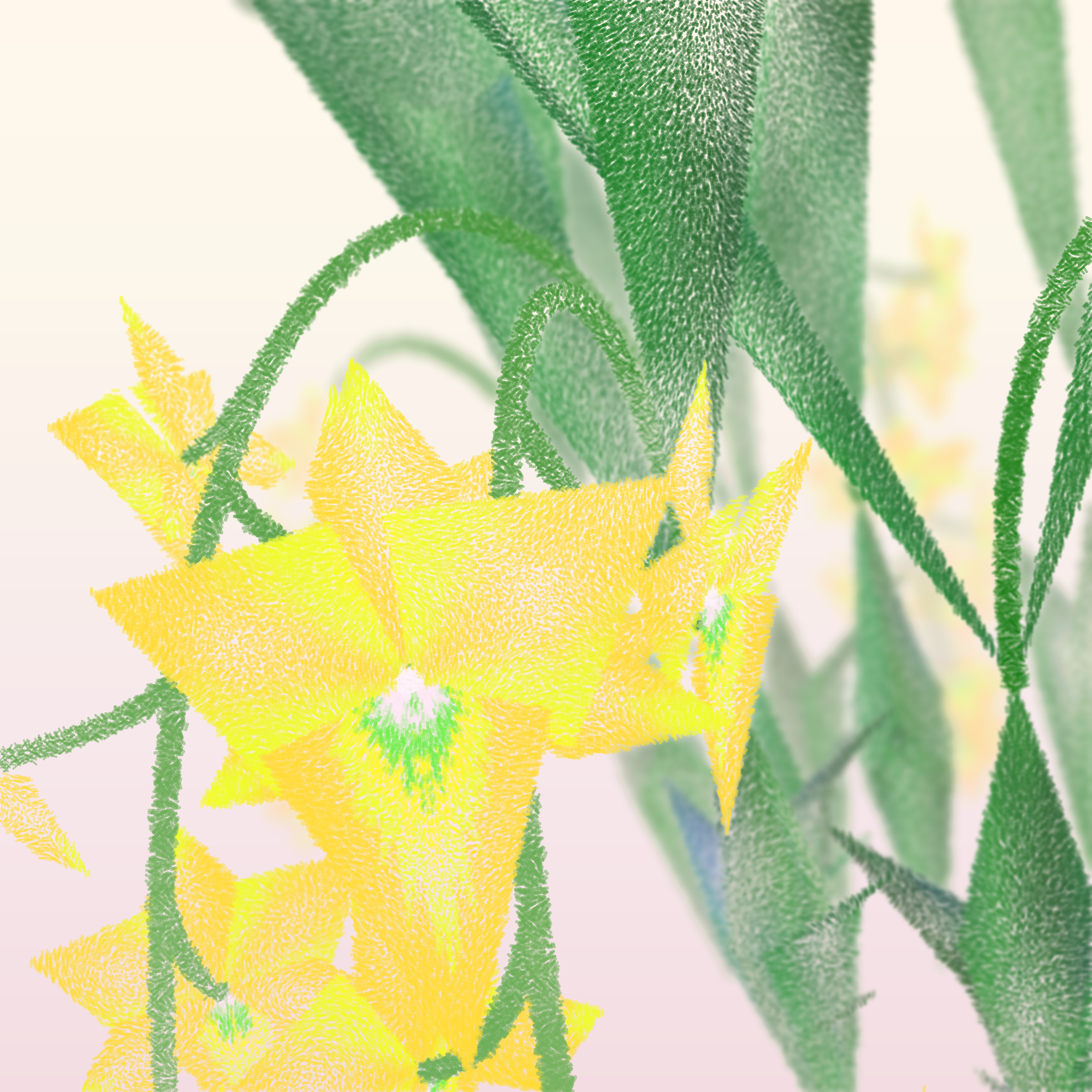 Cattleya #264