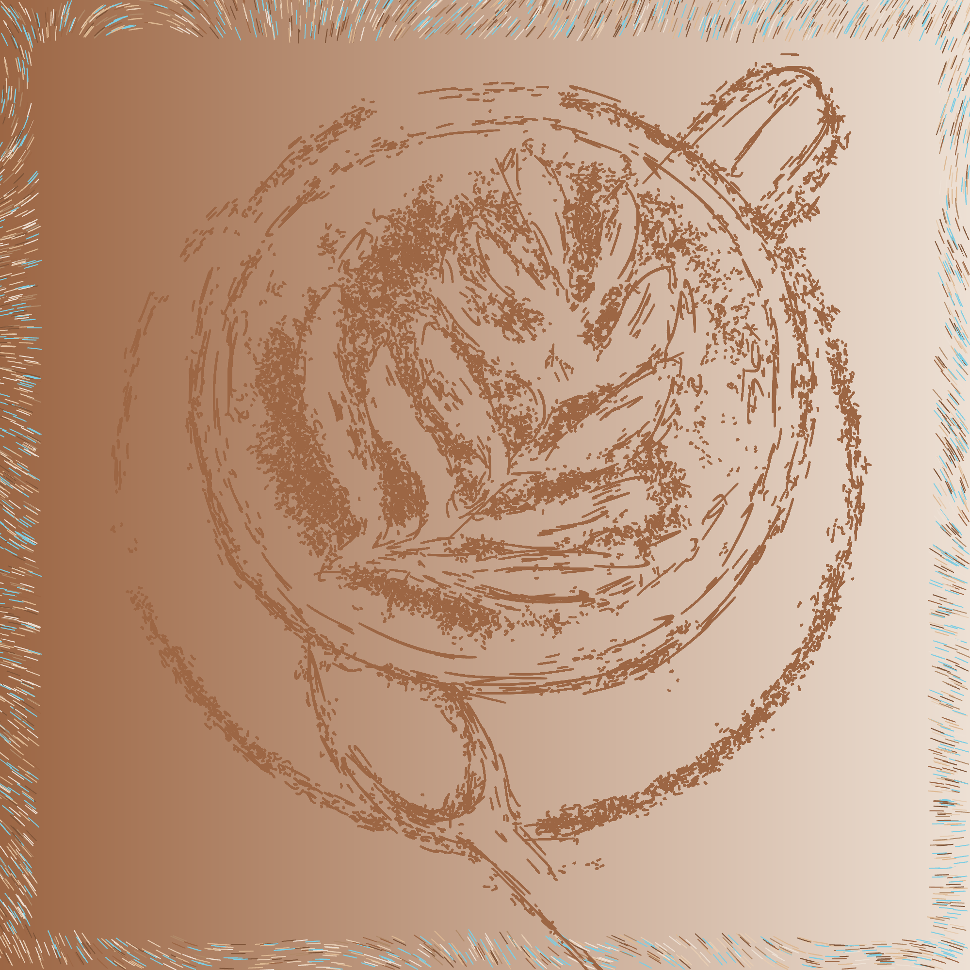 coffee ☕️