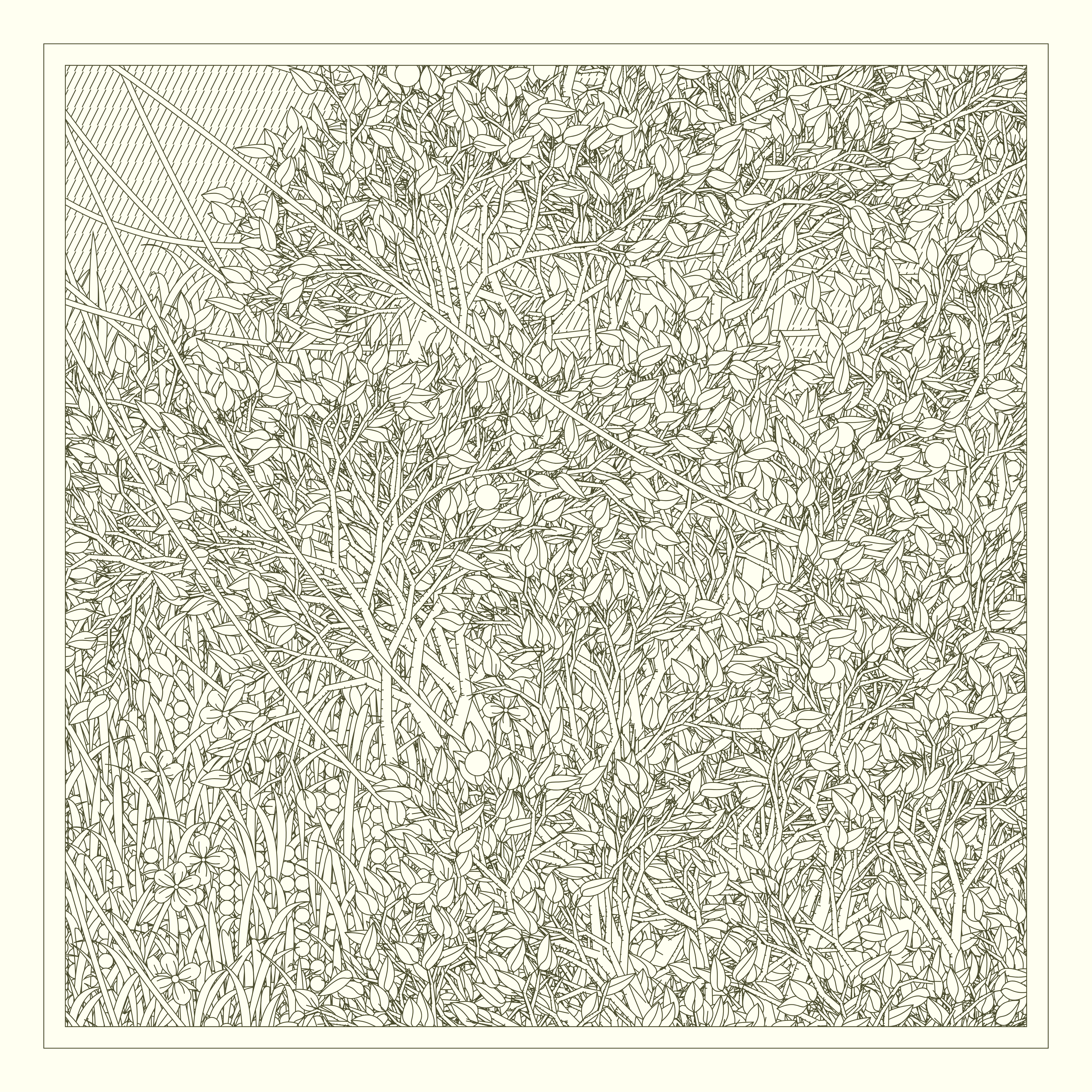 Entangled #507