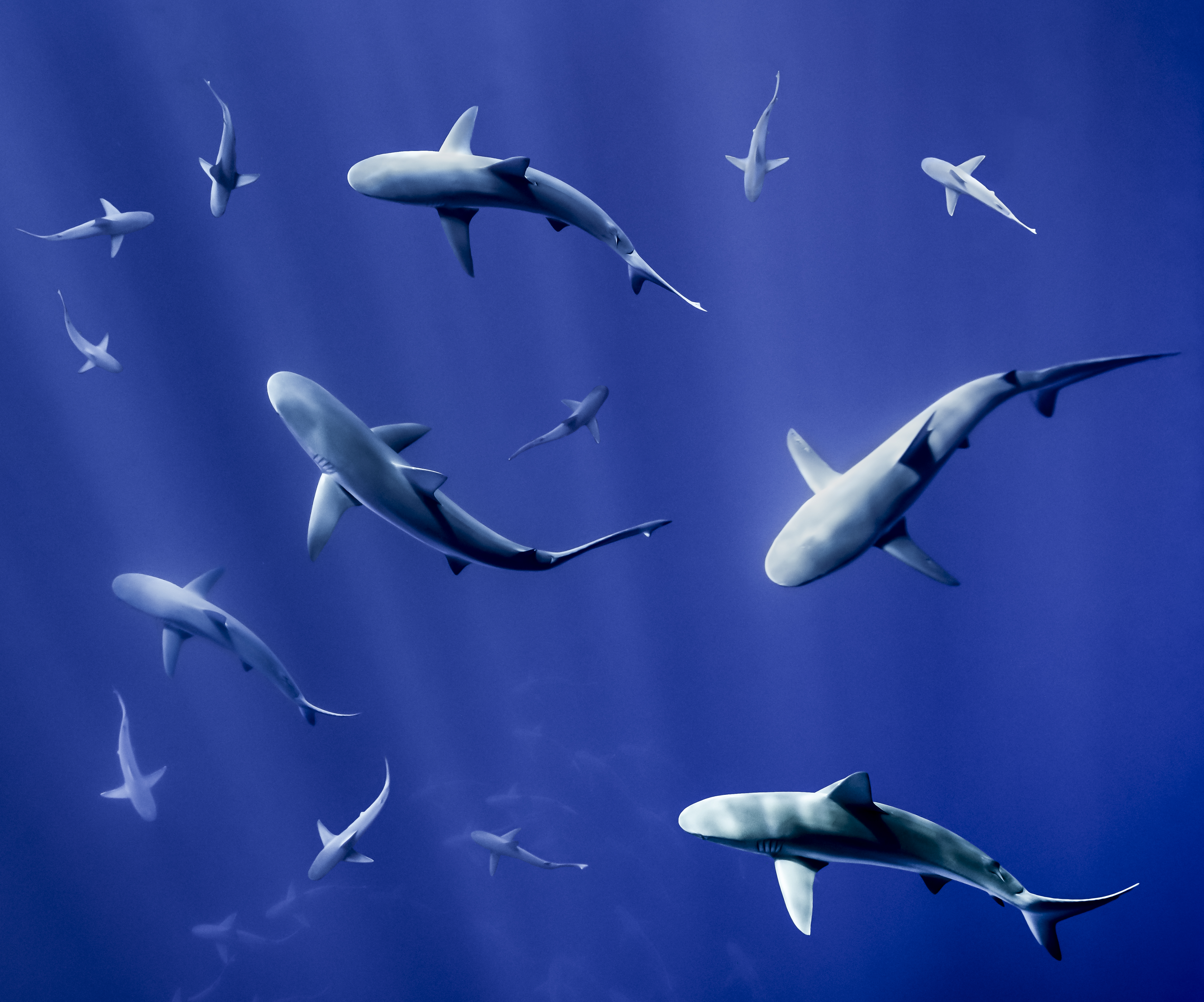 From the Depths