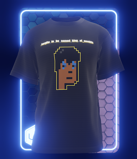 King of Meebits #31