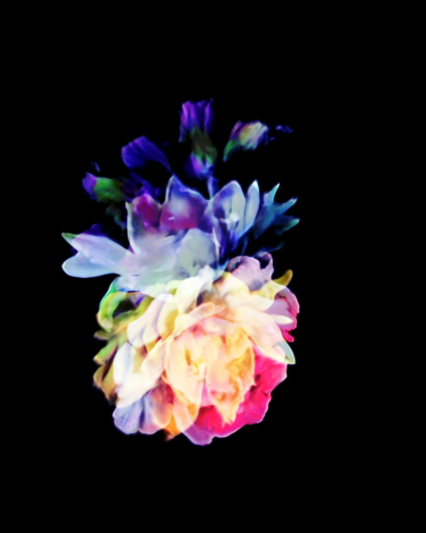 Bloom 04