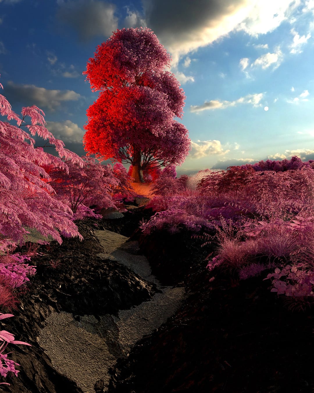 Hidden Zen