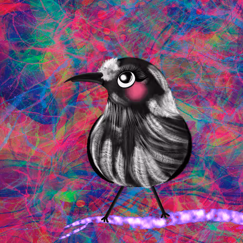 Black And White Warbler Bird