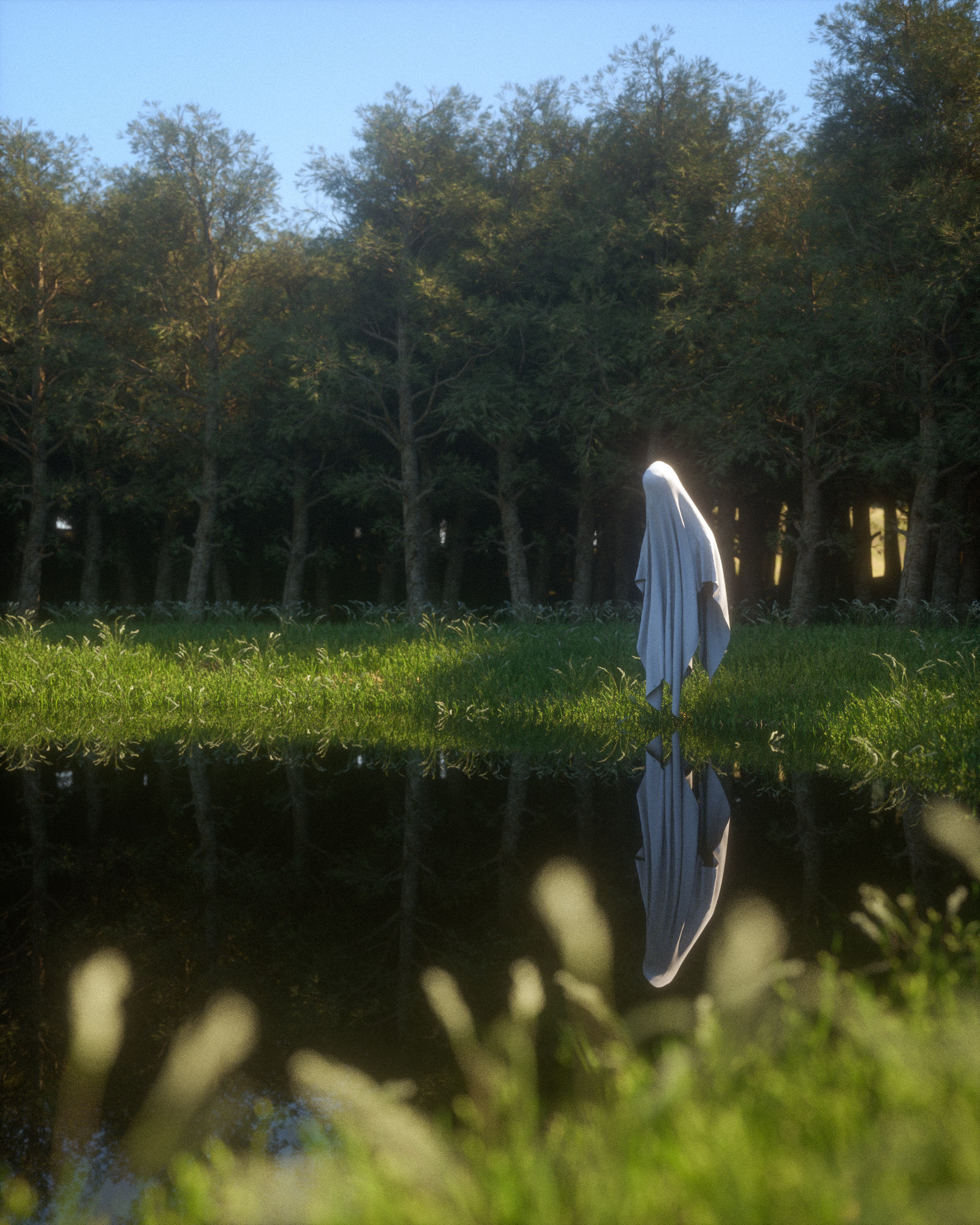 Reflection