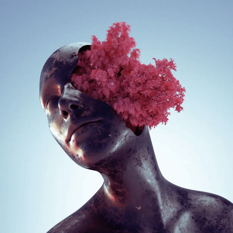 IMAGINARIUM / Nature