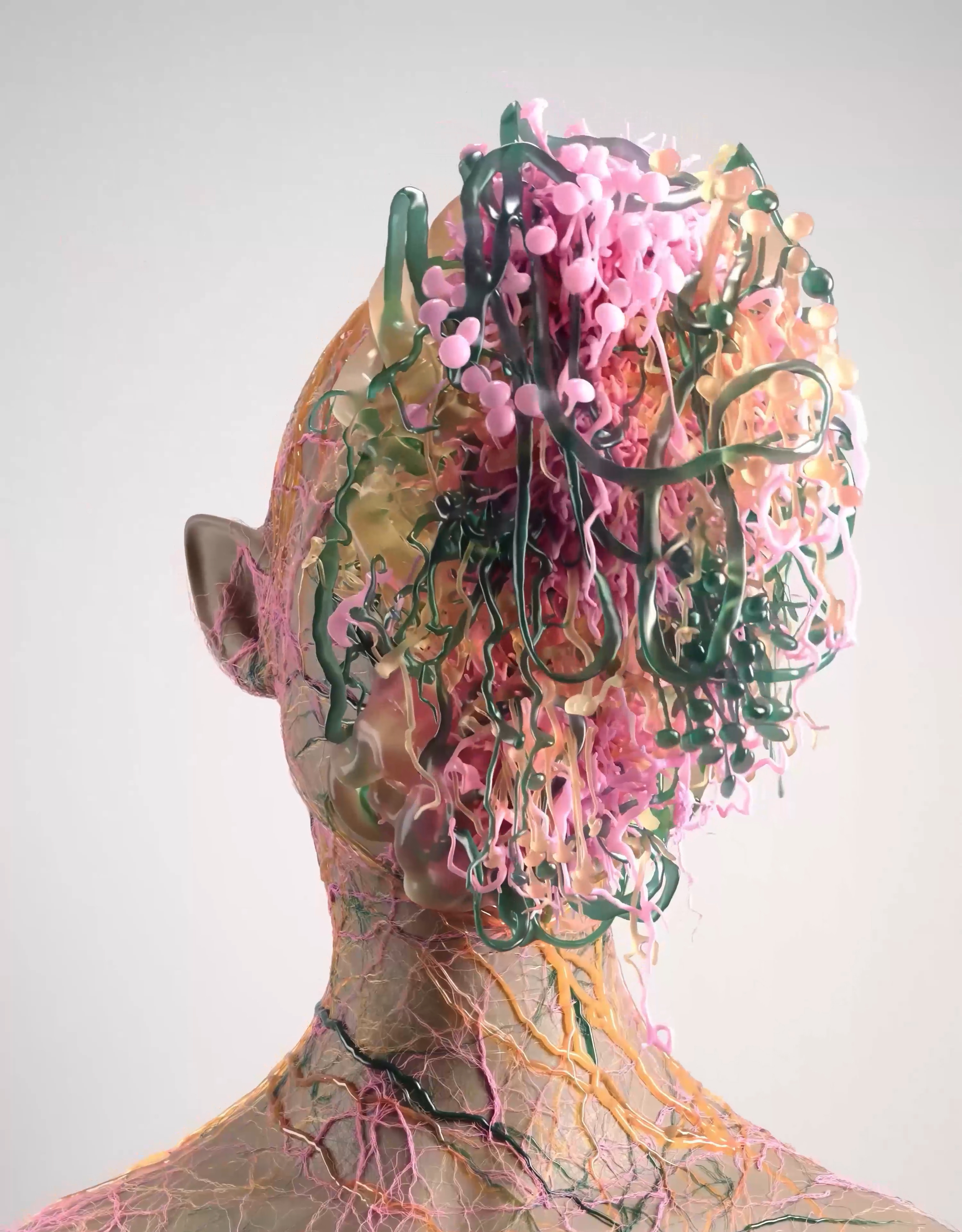 SYMBIOSIS #18/25