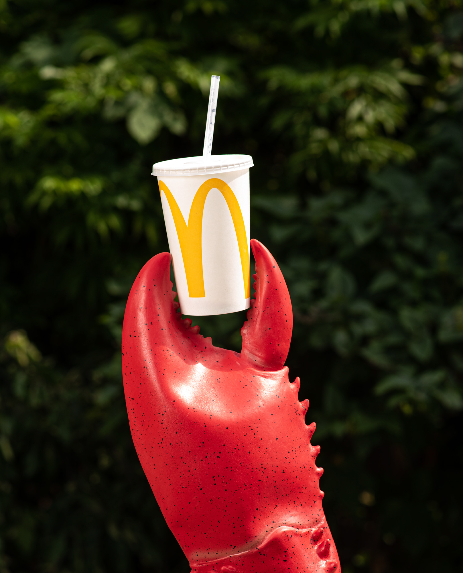 McCrab