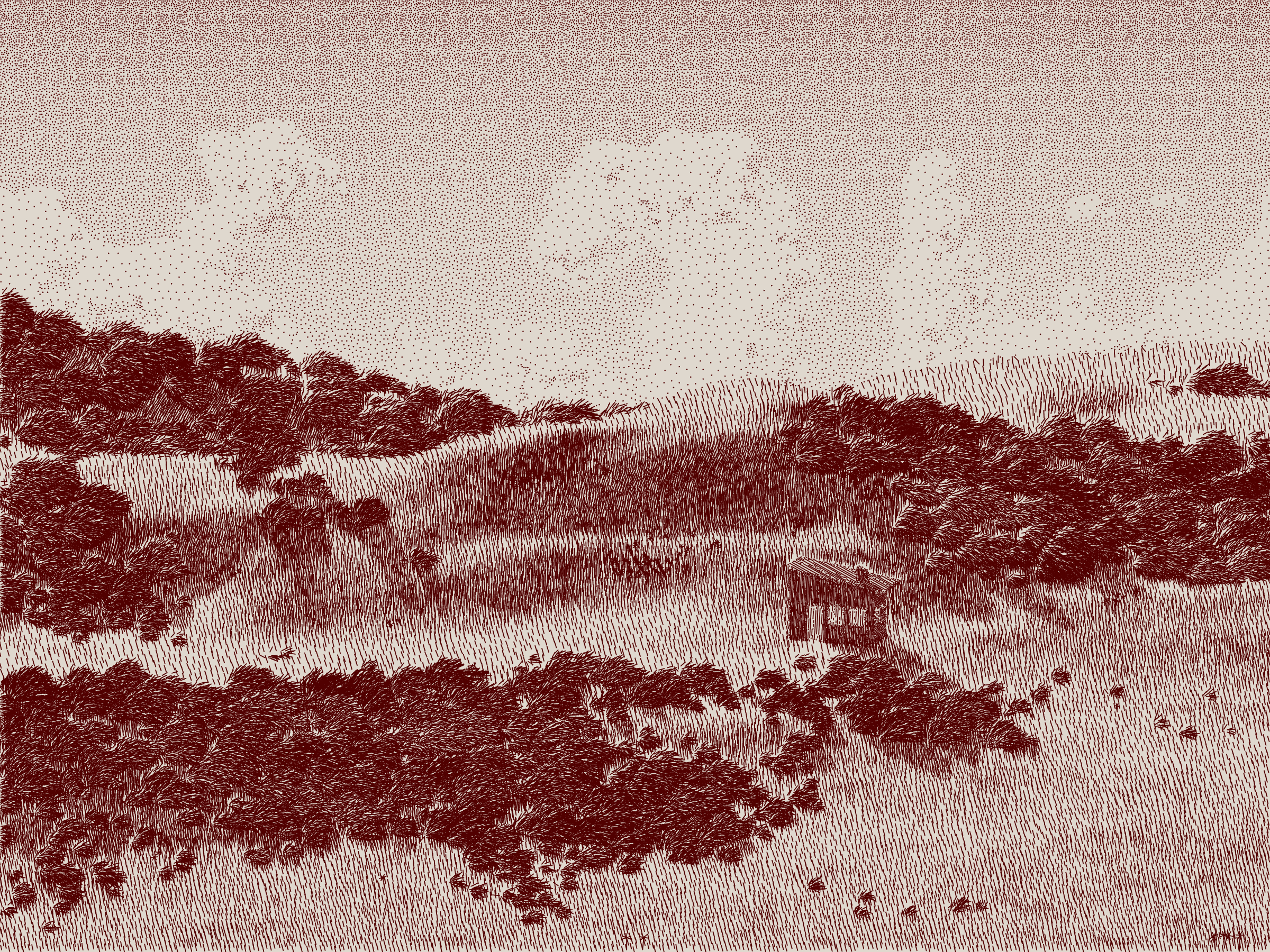 Life and Love and Nothing #67