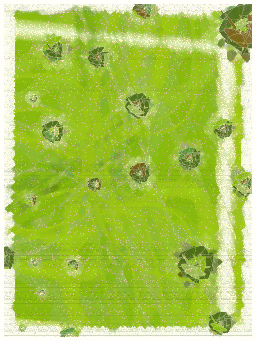 SKY MEADOW #259