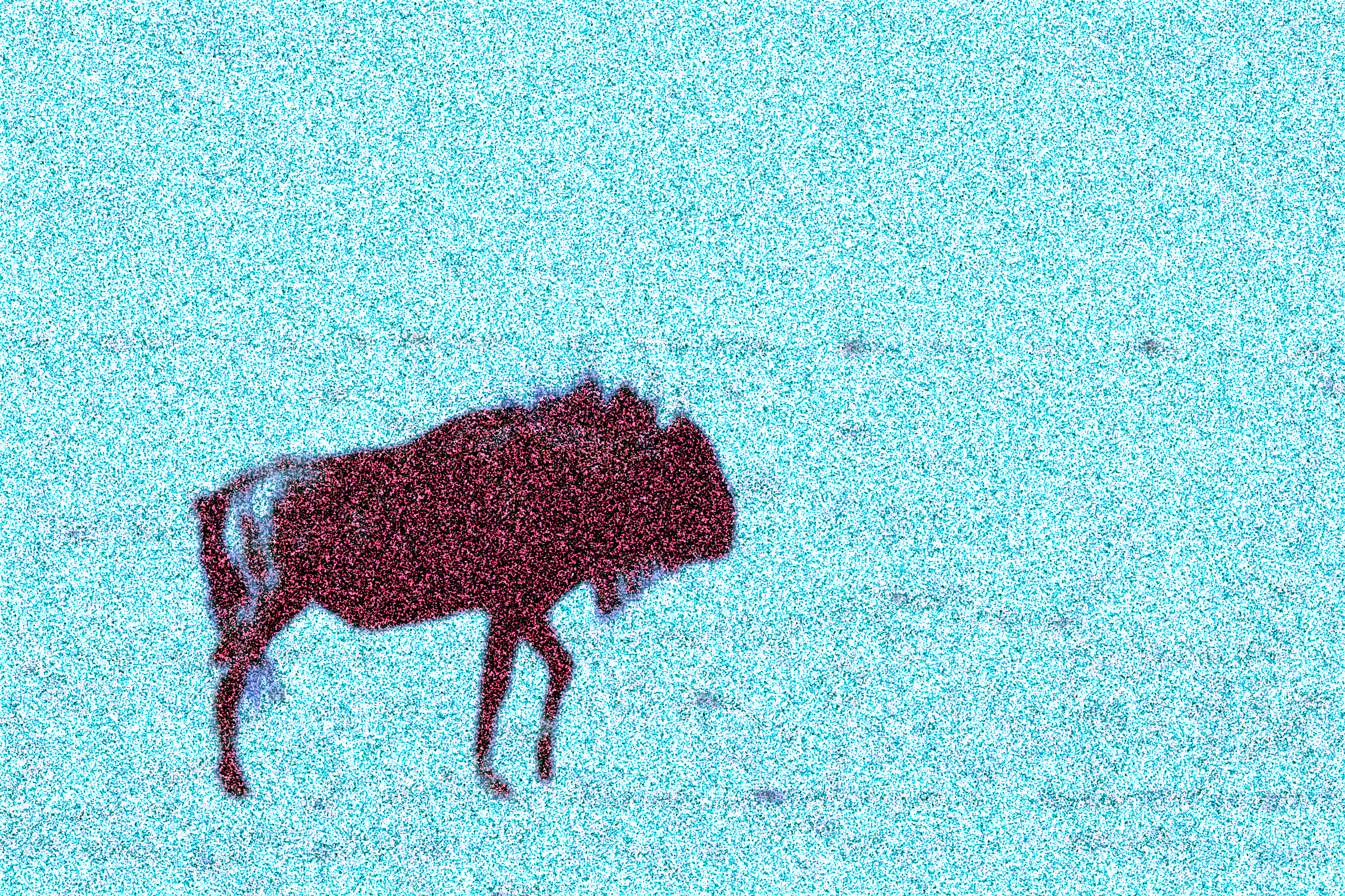 wildetimes
