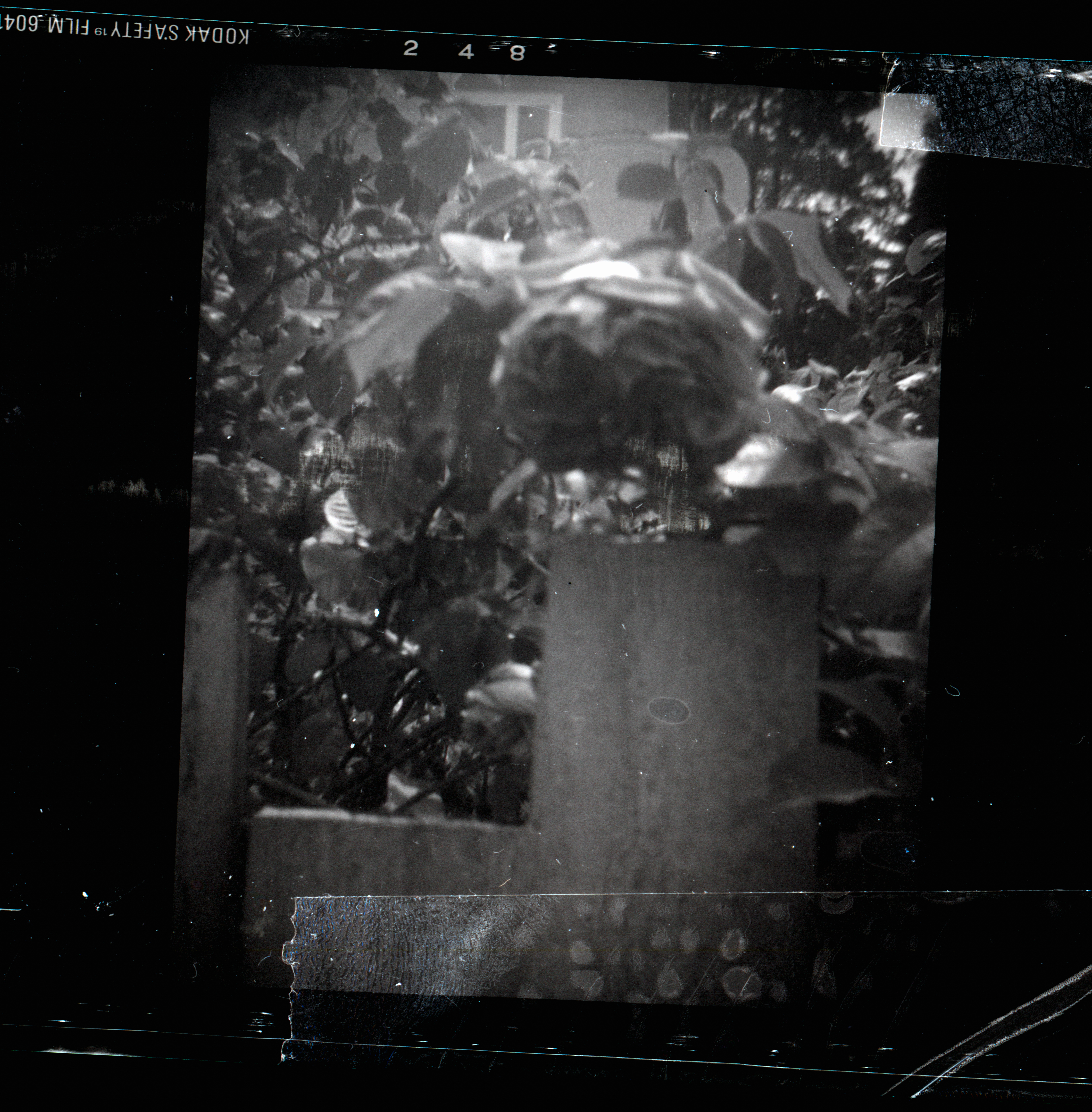 Kodachrome #802