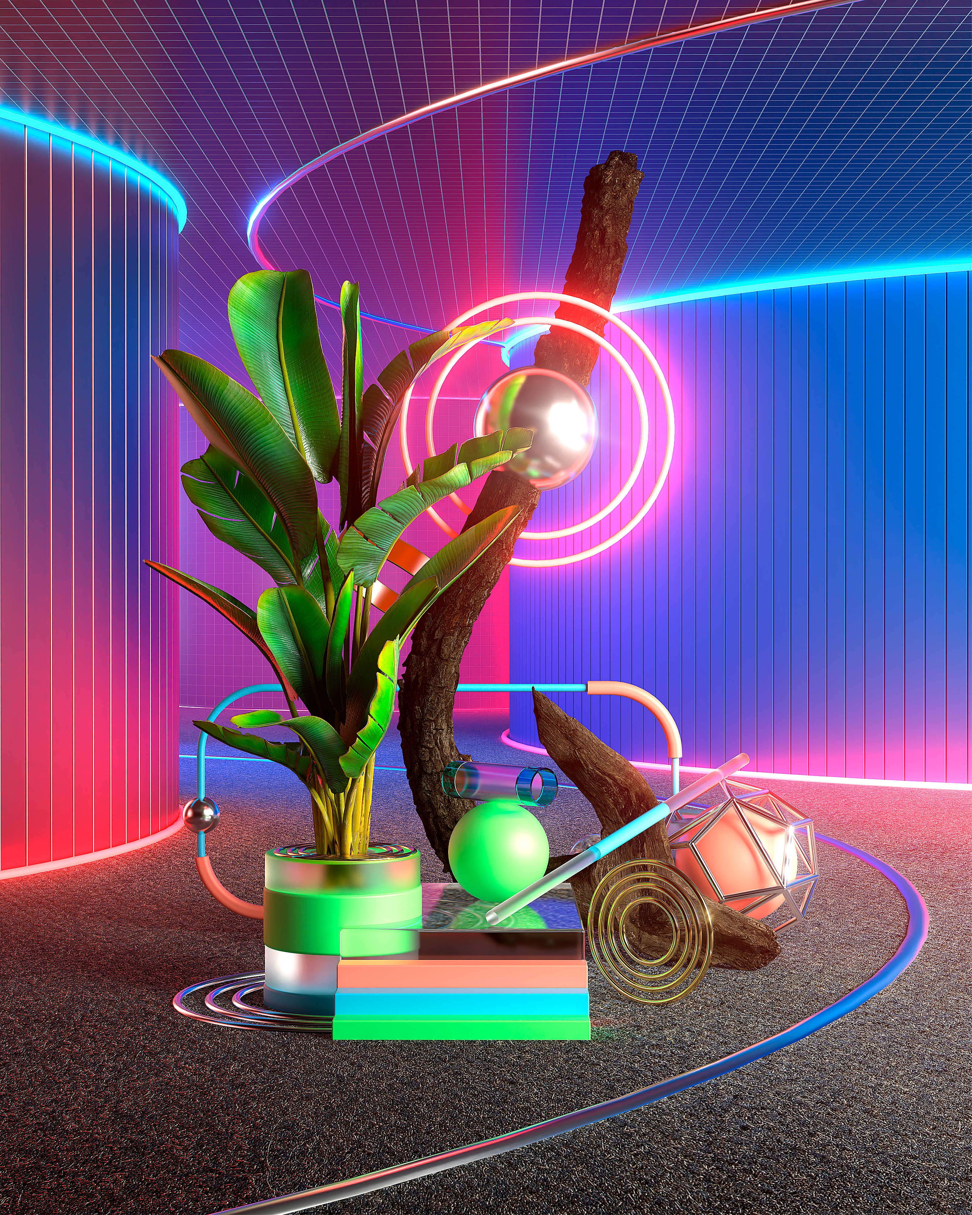 S I G N A L