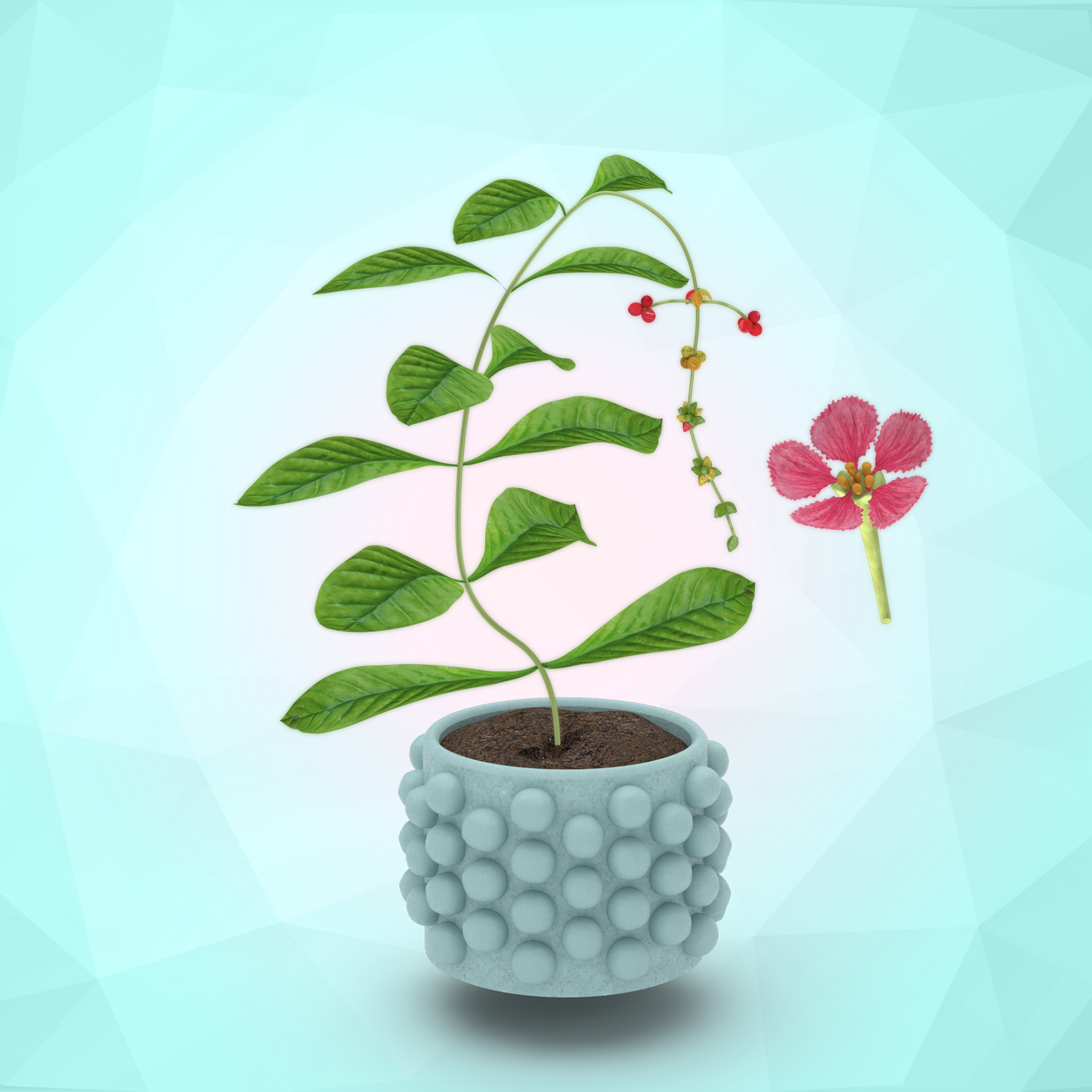 ∆FLORA #156