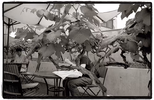 Jongro - the man between the vine trees