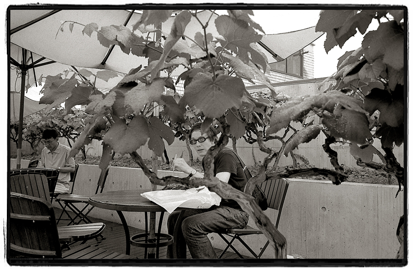 Jongro - the man between the vine trees