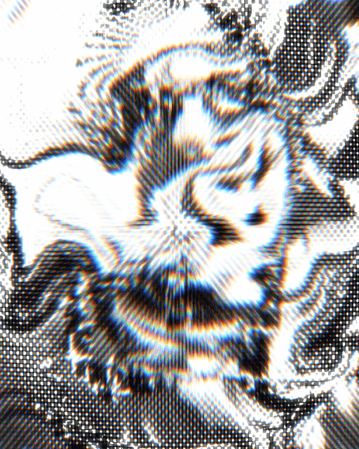 ANIMAS 056