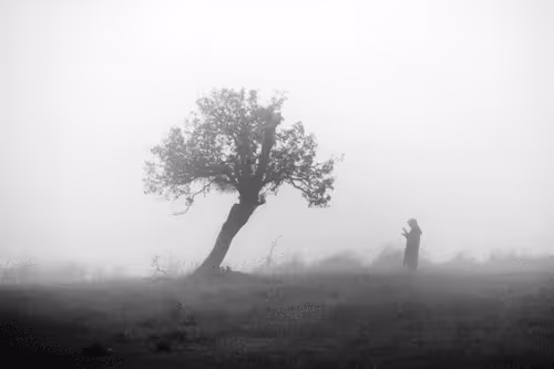 Bnw Human #1
