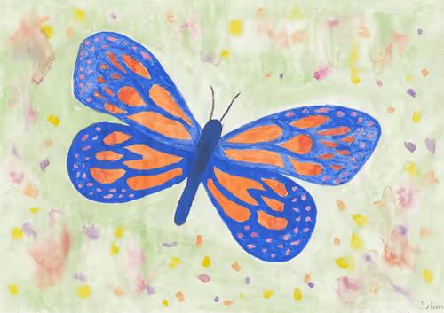 Butterfly