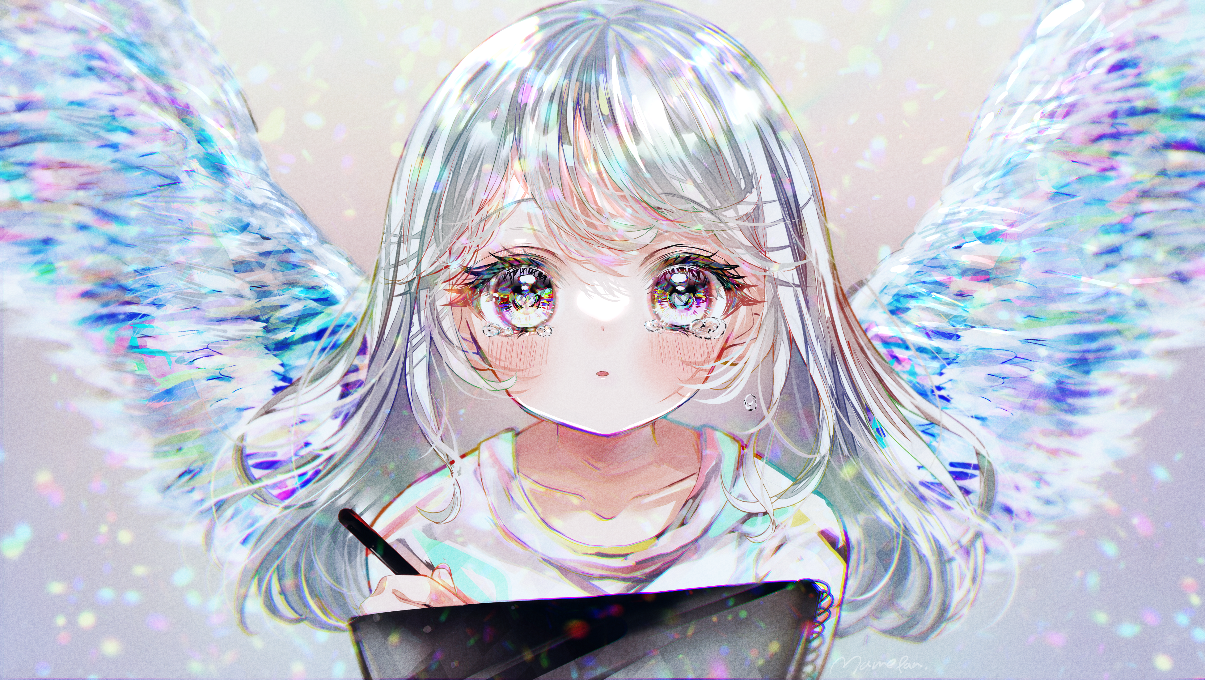 Fly