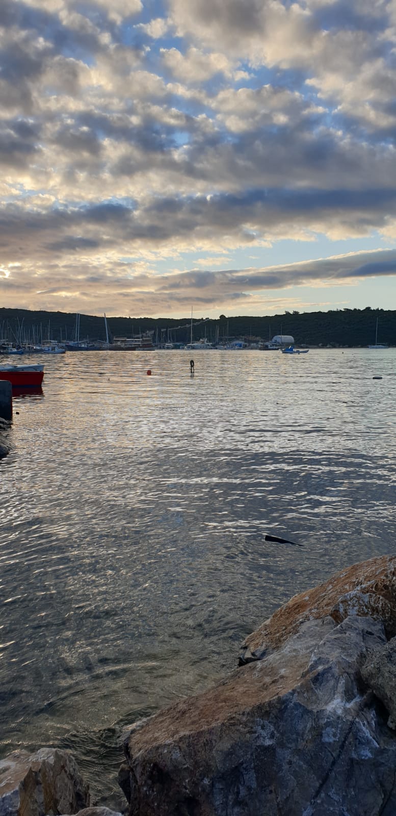 sea