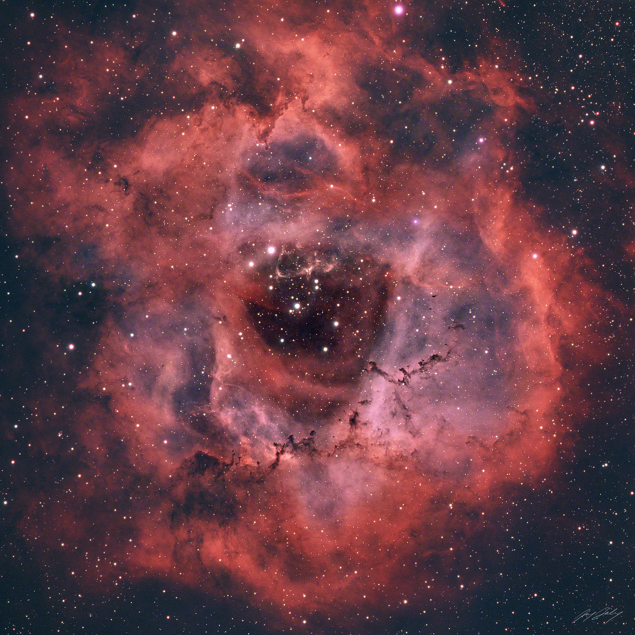 Rosette Nebula - Red hydrogen