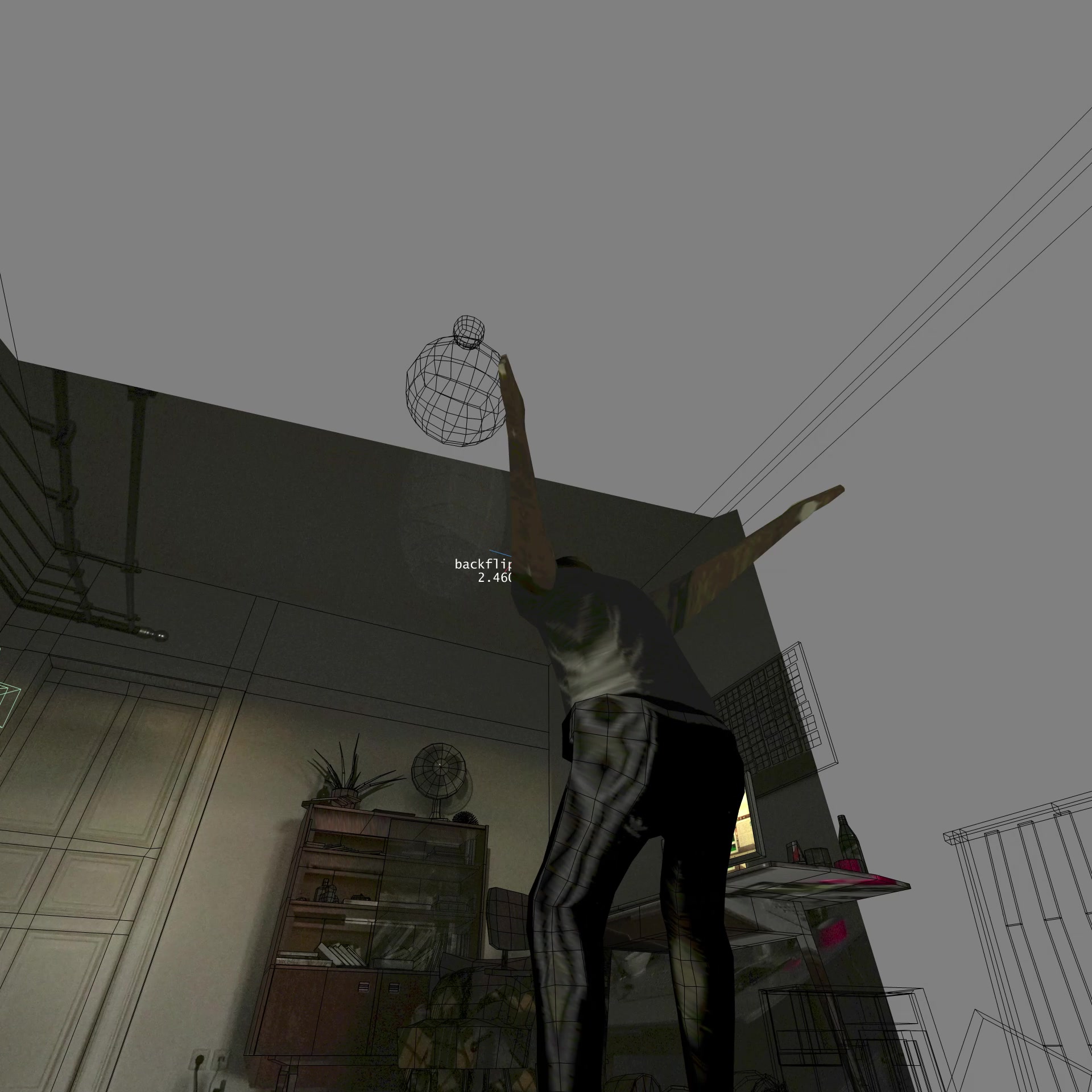 backflip_2460