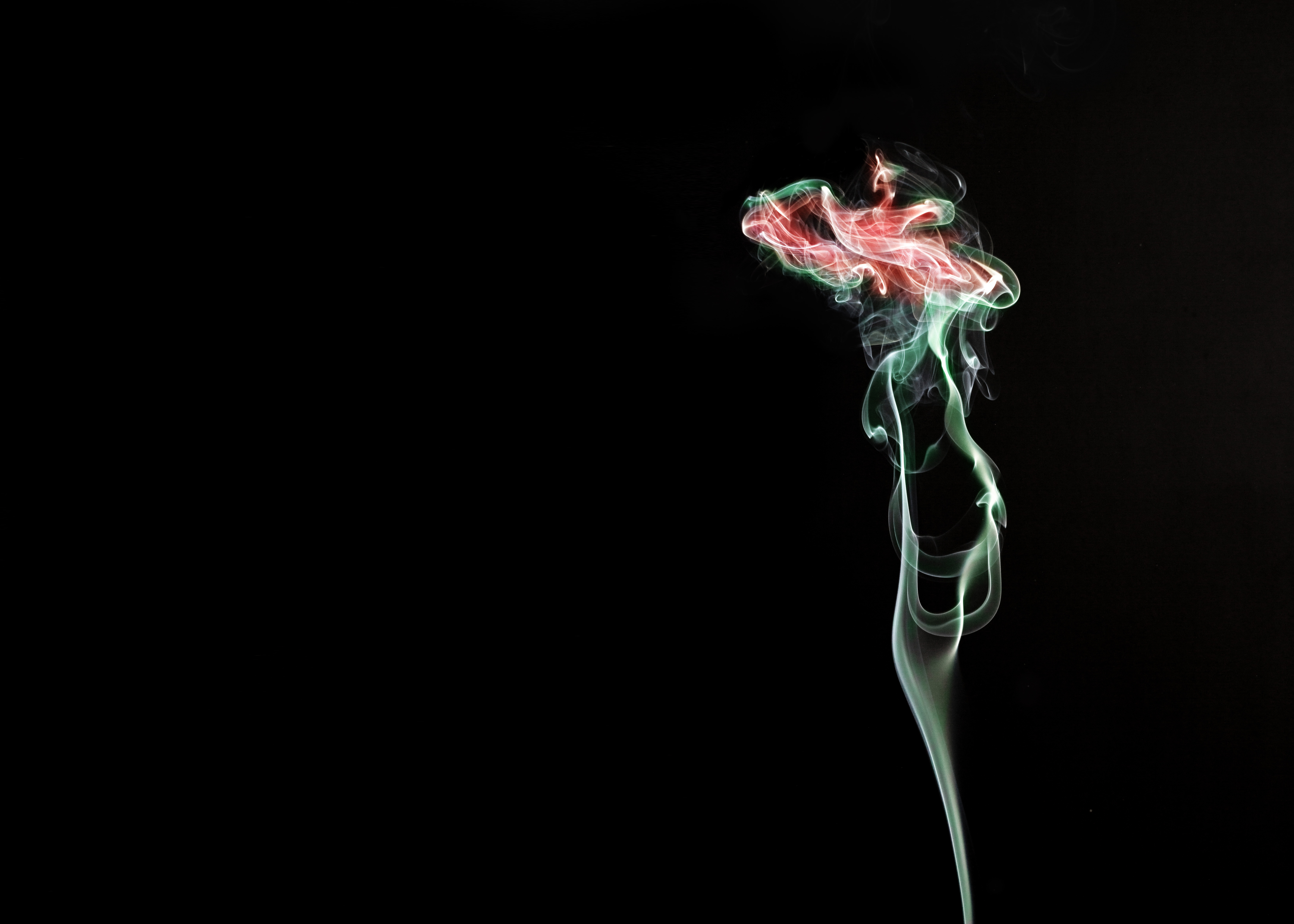 UNA ROSA ES UNA ROSA