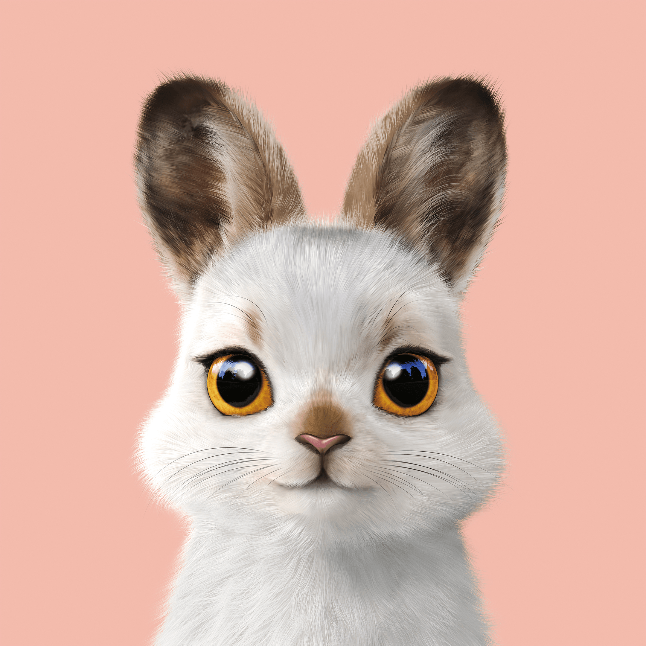 #406 Bunny the Mountain Hare
